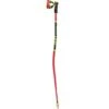Leki WCR GS 3D Aluminum Alpine Ski Race Poles | 2023