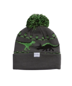 The Toy Bin Youth Beanie By Coal
